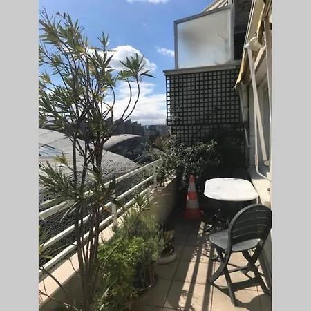 Bel Lumineux / Happy Rooftop 120 M2 Paris